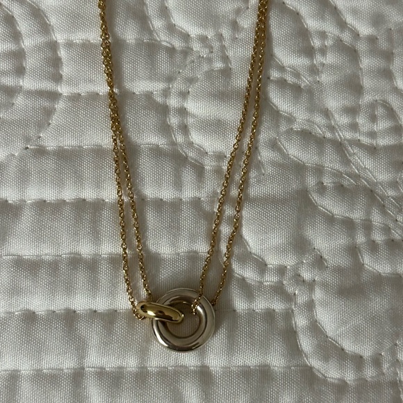 Mejuri Linked Two Tone Necklace - Picture 9 of 9